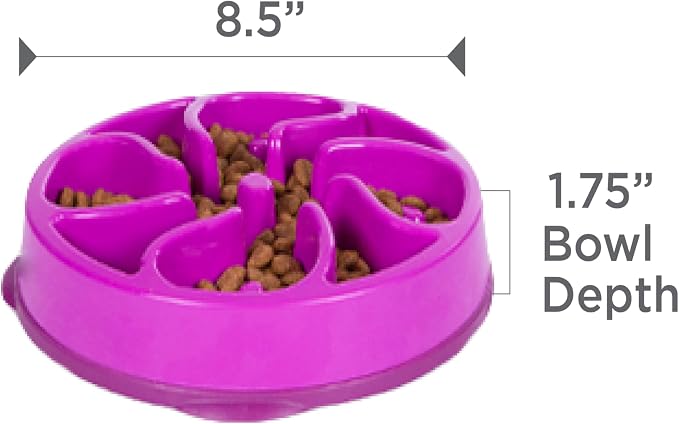 Outward Hound Fun Feeder Slo Bowl – Medium 2‑Cup Capacity, Slow Feeding - Image 7
