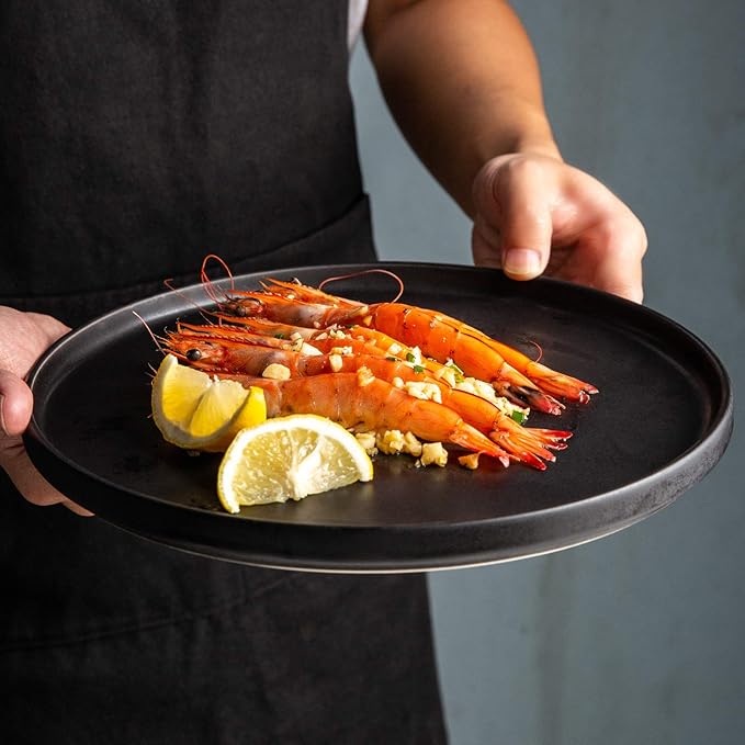 AmorArc Stoneware Dinner Plates Set of 4, 10.5 Inch Reactive Matte Glaze Ceramic Plates Set, Modern Dinnerware Dish set for Kitchen, Microwave, Dishwasher Safe, Scratch Resistant.