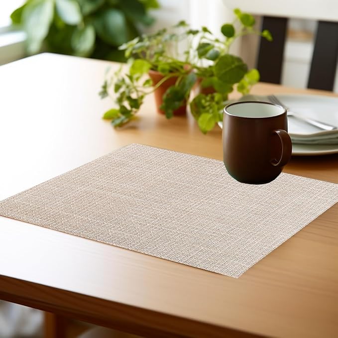 PIGCHCY Beige Placemats Set of 6 Vinyl PVC Durable Place Mats - Image 7
