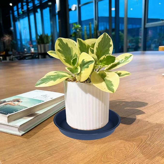 4 Pack of 20 21 inch Plant Saucer Round, Deep Plant Saucers - Image 6
