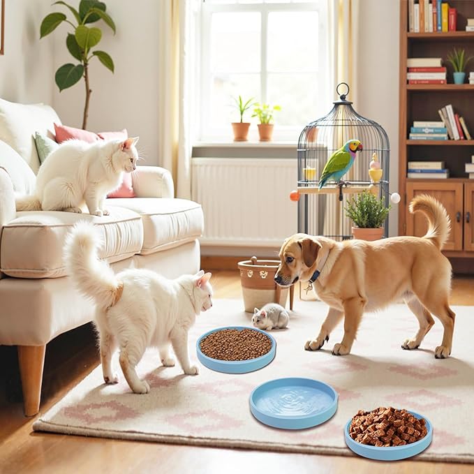 Silicone Dog Bowl Shallow Cat Food Bowls, 6 Inch Wide Cat Bowls Whisker Friendly, No Spill Less Mess Dog Plates for Dry and Wet Food, Set of 2 Puppy Bowls for Small Dogs and Cats