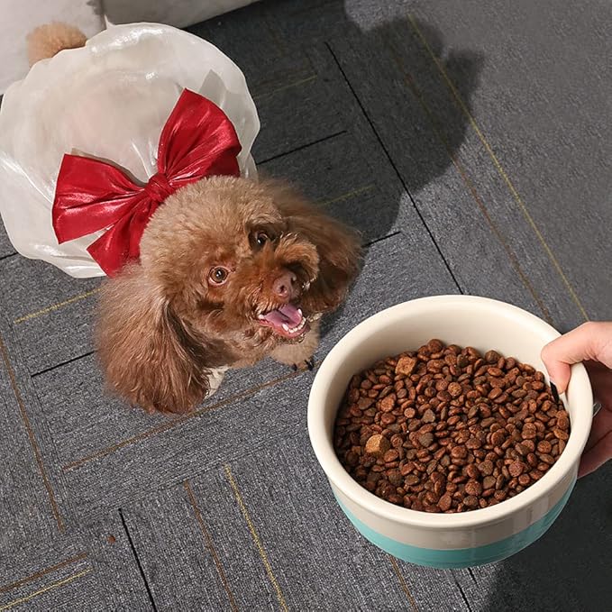 Sweejar Dog Bowl, Ceramic Dog Food Dish for Medium Dogs and Cat, Heavy Duty Porcelain Pet Bowl for Canned Food and Water 38 Fl Oz (White)
