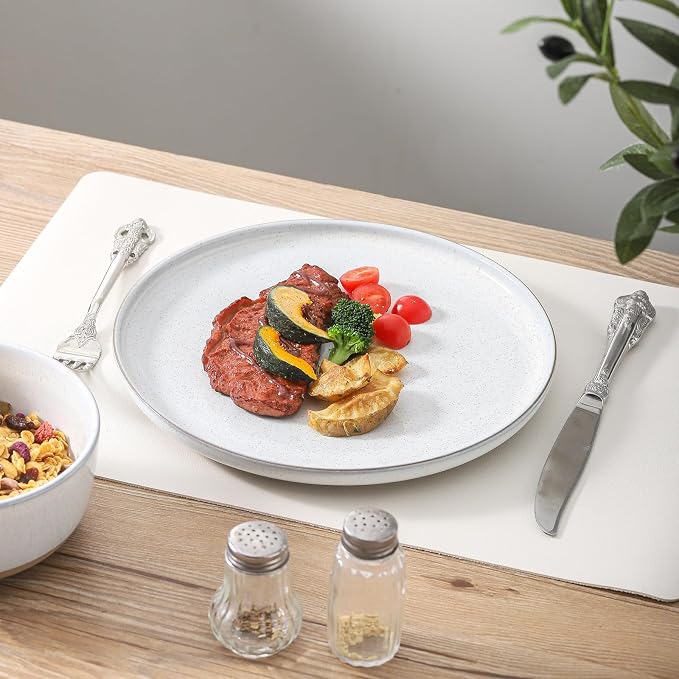 Ceramic Dinner Plates Set of 4 - Image 9
