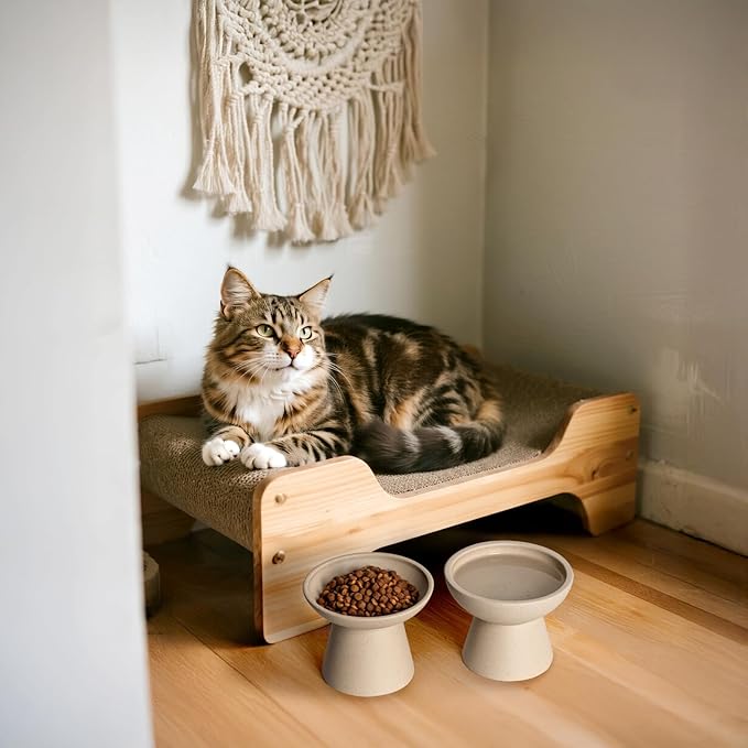 Extra Wide Elevated Ceramic Cat Bowl, 6.2" Shallow Dish for Whisker Fatigue Relief, 5" Height for Easy Feeding, Durable Raised Cat Food Bowls, Pack of 2, Pottery Clay (Not Glazed)