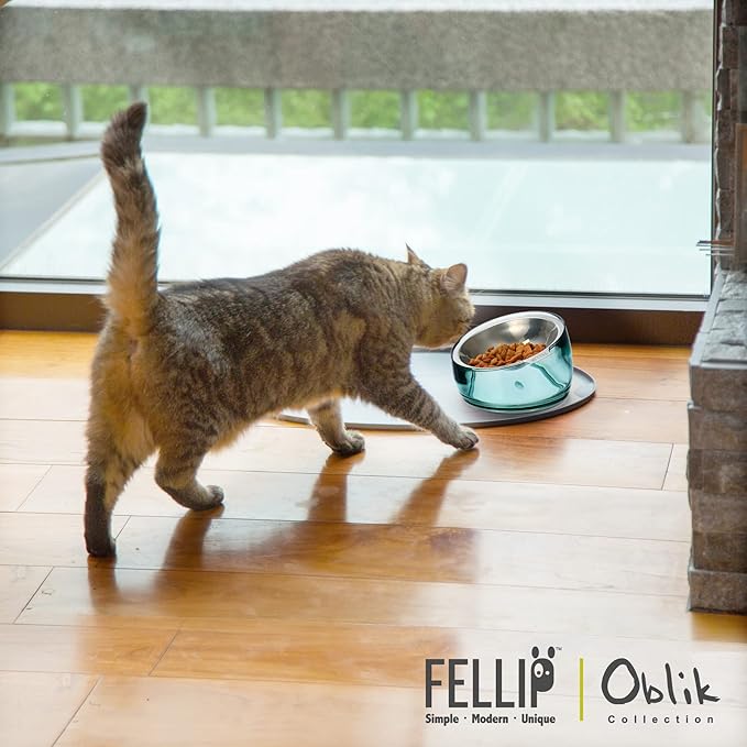 Felli Oblik Elevated Cat Bowl Removable Stainless Steel Wide Dish for Dry Wet Food Feeding & Dishwasher Clean, Slanted Whisker Fatigue Friendly Metal Plate (Classic, 0.5 Cups Shallow Dish)