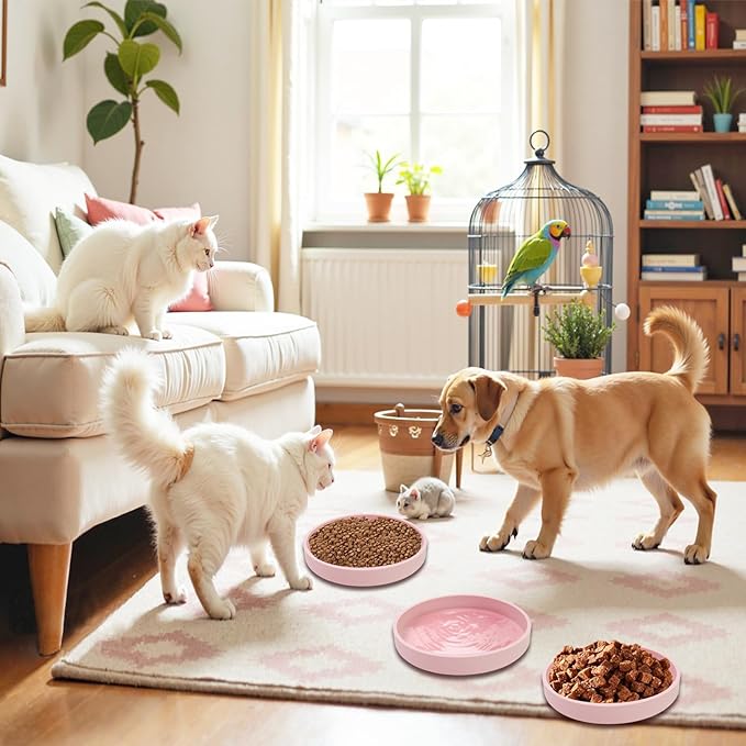 Silicone Dog Bowl Shallow Cat Food Bowls, 6 Inch Wide Cat Bowls Whisker Friendly, No Spill Less Mess Dog Plates for Dry and Wet Food, Set of 3 Puppy Bowls for Small Dogs and Cats