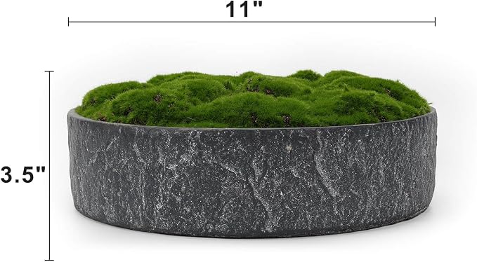 NAHARO New Moss Bowl, Living Room, or Coffee Table Display - Image 7