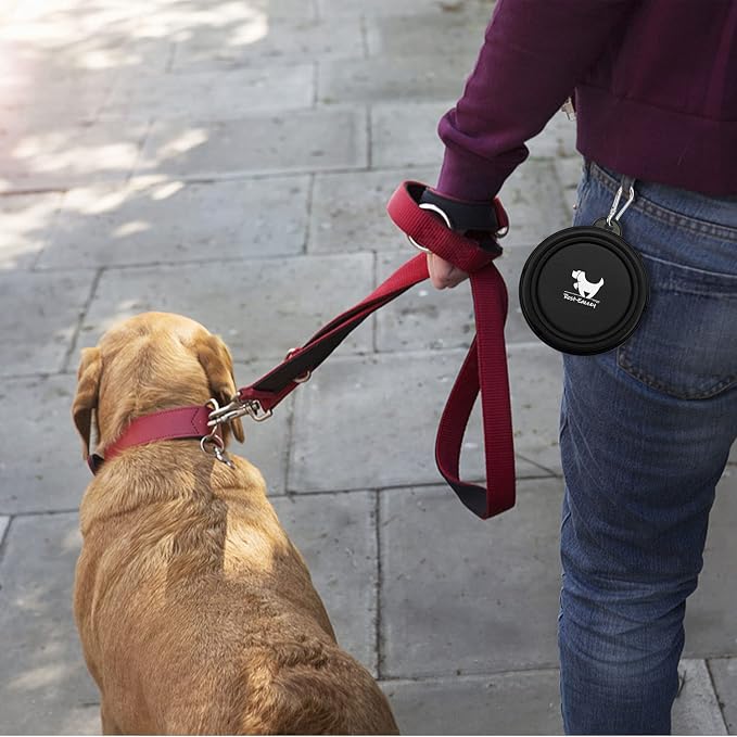 Collapsible Dog Bowls for Travel, BPA Free) - Image 7