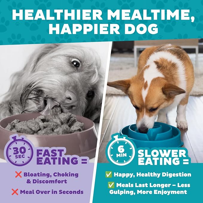 Outward Hound Fun Feeder Slo Bowl – Medium 2‑Cup Capacity, Slow Feeding - Image 8
