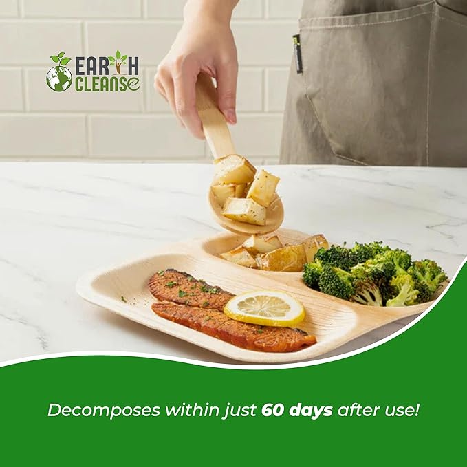 Areca Palm Leaf 11-Inch Square Plates (25 Count) β 100% Compostable, Biodegradable Like Bamboo Plates | Eco-Friendly Disposable Dinnerware | Microwave & Oven Safe