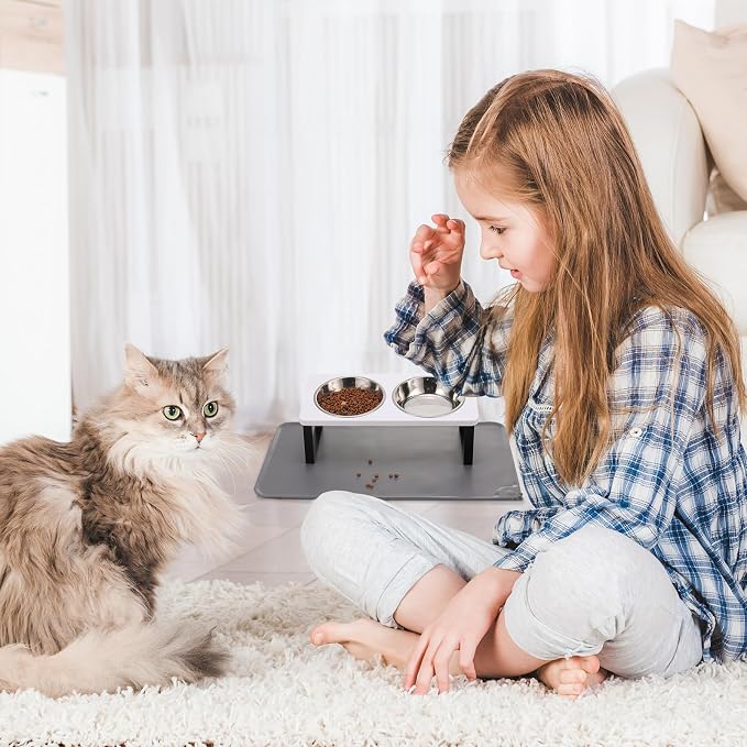 Summark Upgraded Elevated Cat Bowls - Image 7