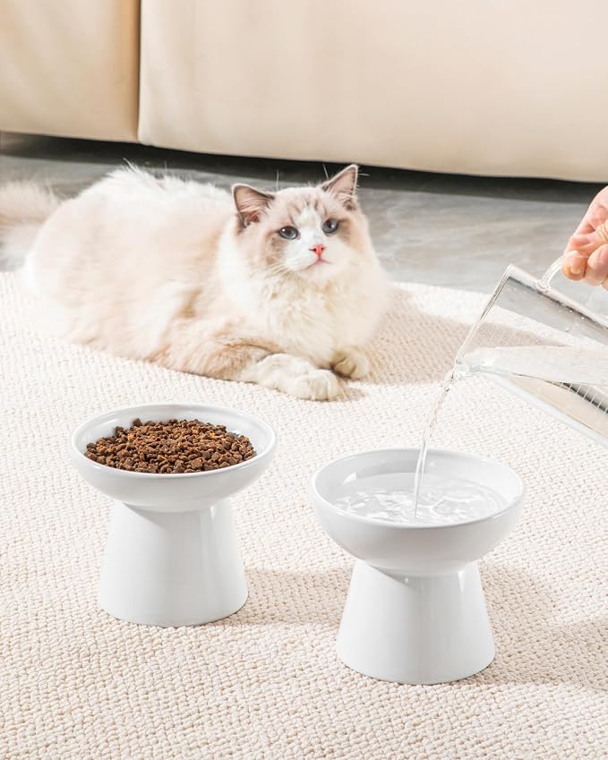 vancasso Extra Wide Elevated Cat Bowls 2-Pack, Shallow Ceramic Raised Cat Food - Image 9