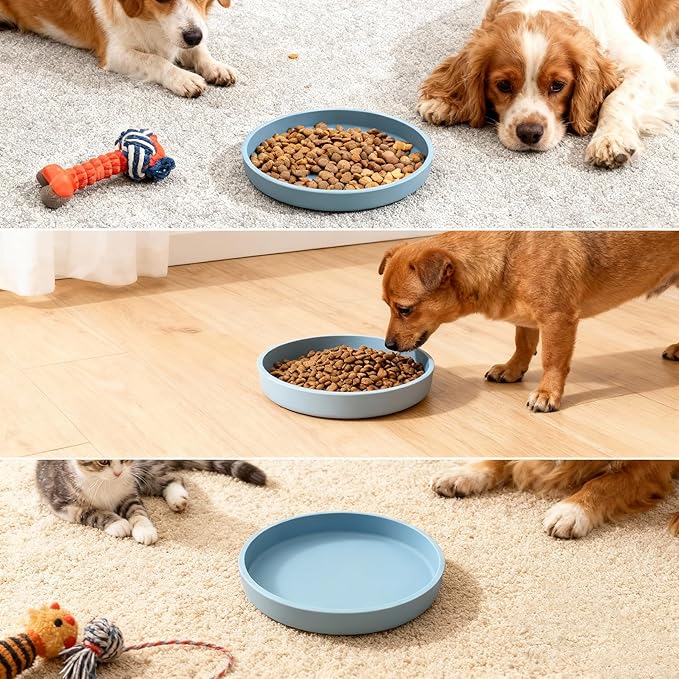 Silicone Cat Bowl Set of 2 Shallow Cat Dishes Small Non-Slip Pet Dog Bowls for Dry & Wet Food, Whisker Fatigue (Round Blue)