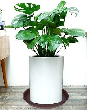 2 Pack of 10 inch Plant Saucer Gray, Heavy Duty Plastic Plant Saucer 10 inch - Image 4