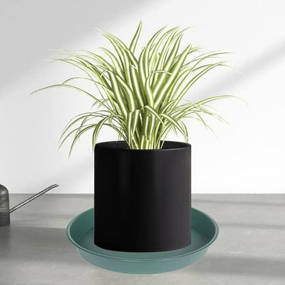 6 Pack Plastic Plant Saucer Planter Water Drip Tray, 4 5 6 7 8 9 10 11 12 inch - Image 7