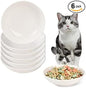 Ceramic Cat Dishes for Food by AHX
