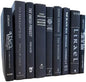 Real Books by Color® (1 Single, Black Silver) Decorative Bookshelf Home Decor Shelf Styling Photo Prop
