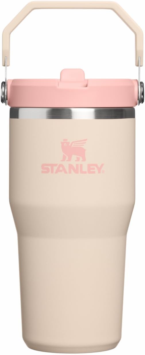 STANLEY IceFlow 2.0 Flip Straw Tumbler, 20 oz, Champagne | Easy Carry Handle | by Unknown