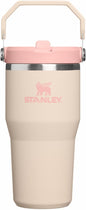 STANLEY IceFlow 2.0 Flip Straw Tumbler, 20 oz, Champagne | Easy Carry Handle | by Unknown