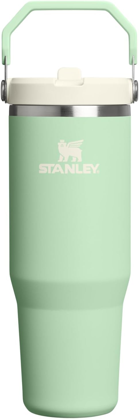 STANLEY IceFlow 2.0 Flip Straw Tumbler, 30 oz, Pistachio | Easy Carry Handle | by Unknown
