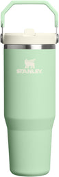 STANLEY IceFlow 2.0 Flip Straw Tumbler, 30 oz, Pistachio | Easy Carry Handle | by Unknown