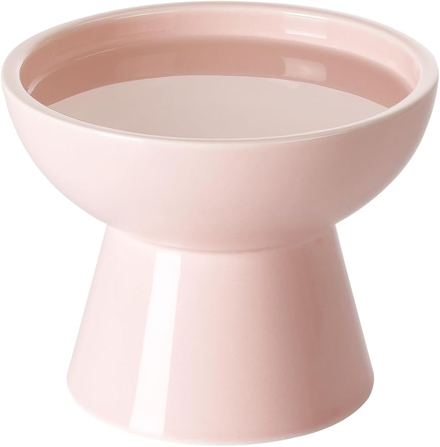 LoeJan Elevated Cat Food and Water Bowls Set by LoeJan