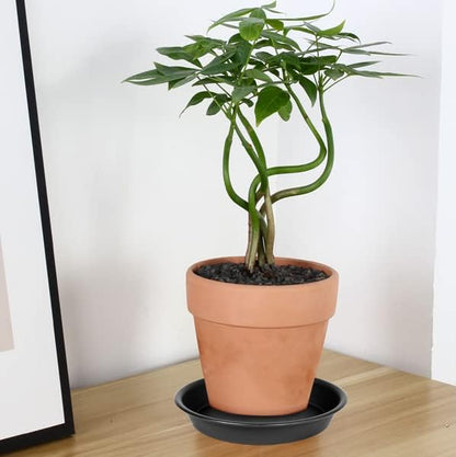 6 Pack 6 inch Plant Saucer Tray, 4 6 8 10 12 15 17 19 inch Plant Saucers - Image 7