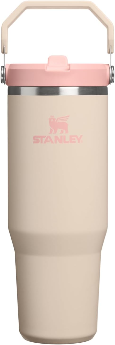 STANLEY IceFlow 2.0 Flip Straw Tumbler, 30 oz, Champagne | Easy Carry Handle | by Unknown