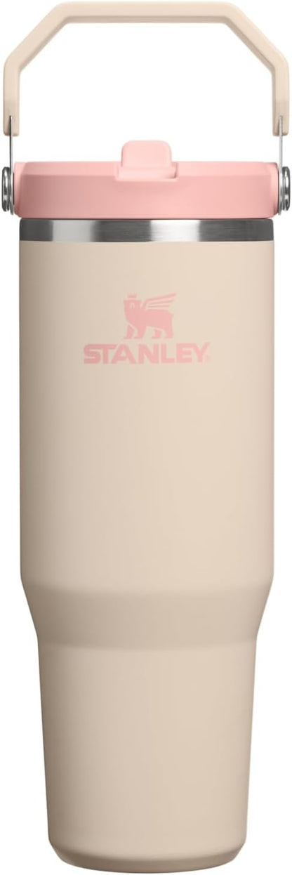 STANLEY IceFlow 2.0 Flip Straw Tumbler, 30 oz, Champagne | Easy Carry Handle | by Unknown
