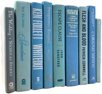 Real Books by Color® (Set of 11, Light Blue) Decorative Bookshelf Home Decor Shelf Styling Photo Prop