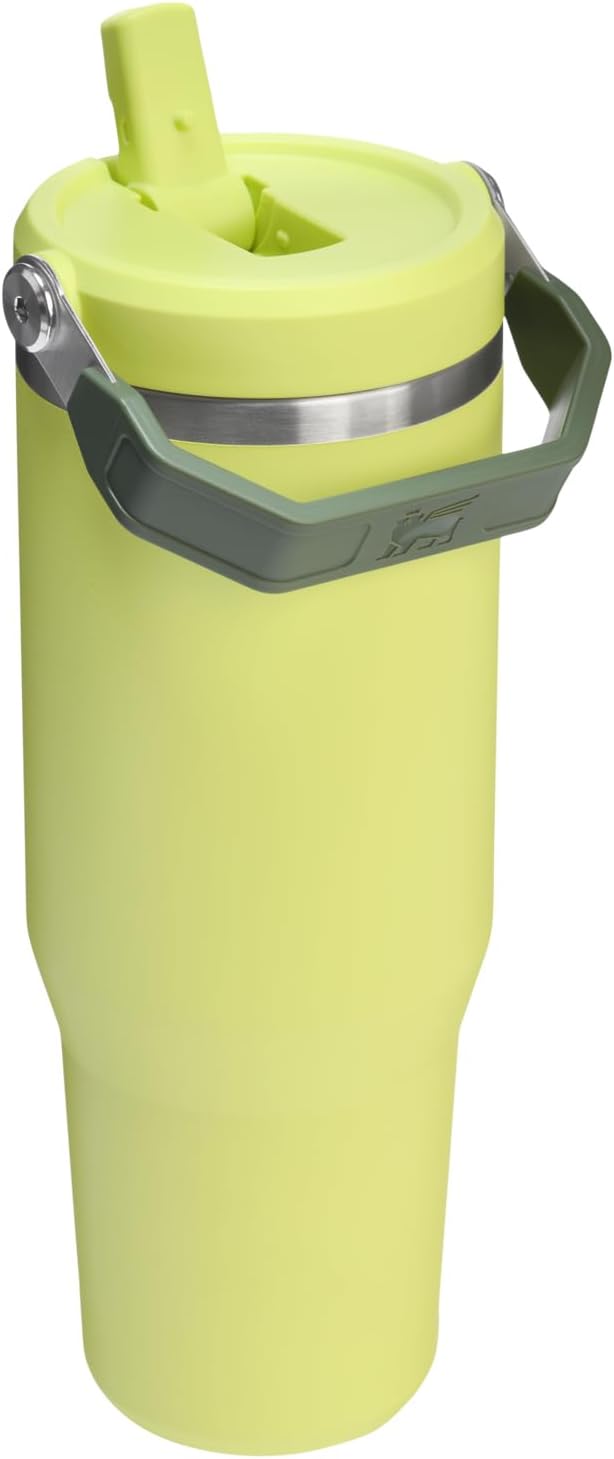 STANLEY IceFlow 2.0 Flip Straw Tumbler, 30 oz, Prickly Pear | Easy Carry Handle - Image 3