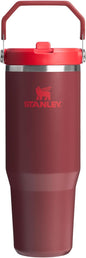 STANLEY IceFlow 2.0 Flip Straw Tumbler, 30 oz, Cranberry | Easy Carry Handle | by Unknown