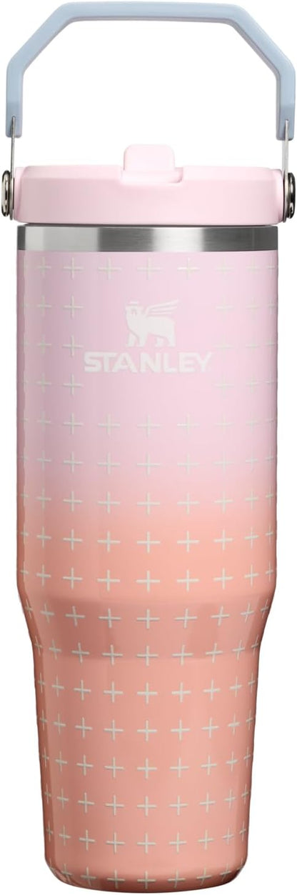 STANLEY IceFlow 2.0 Flip Straw Tumbler, 30 oz, Sorbet Plus | Easy Carry Handle by Unknown