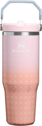 STANLEY IceFlow 2.0 Flip Straw Tumbler, 30 oz, Sorbet Plus | Easy Carry Handle by Unknown