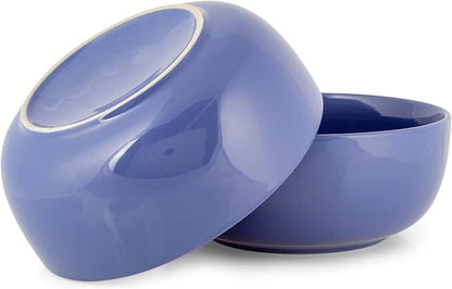Elanze Designs Bistro Glossy Ceramic 8.5 inch Large Serving Bowls Set of 2 - Perfect for Multiple Everyday Uses: Pasta, Salad, Ramen, Soup, Popcorn, Noodles, Cereal and Mixing Bowls, Violet Purple