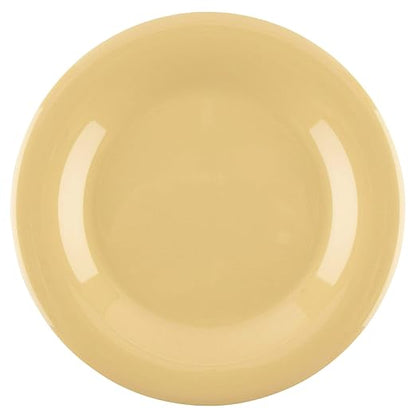 G.E.T. 10.5" Heavy-Duty Wide Rim Melamine Plastic Dinner Plate (Set of 12)