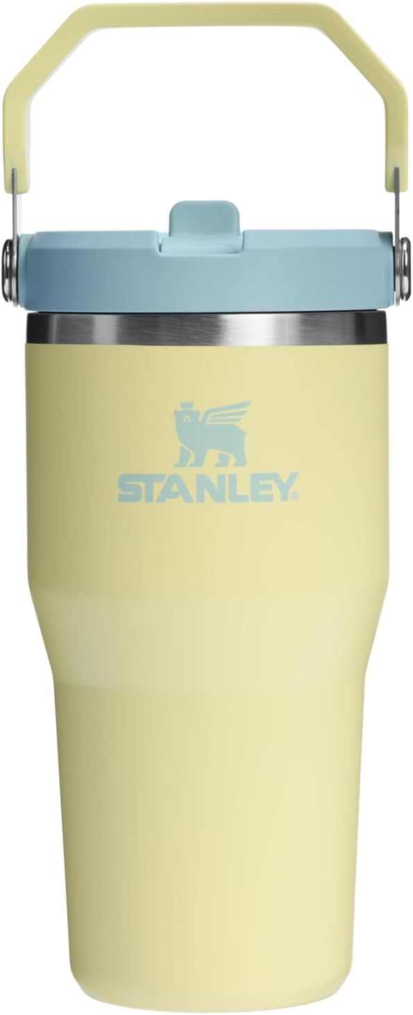 STANLEY IceFlow 2.0 Flip Straw Tumbler, 20 oz, Pomelo | Easy Carry Handle | by Unknown