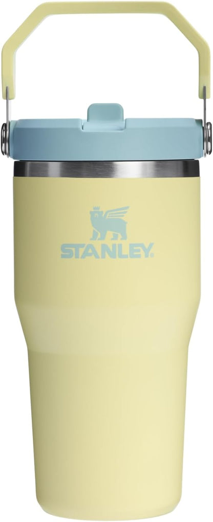 STANLEY IceFlow 2.0 Flip Straw Tumbler, 20 oz, Pomelo | Easy Carry Handle | by Unknown