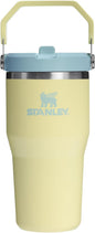 STANLEY IceFlow 2.0 Flip Straw Tumbler, 20 oz, Pomelo | Easy Carry Handle | by Unknown