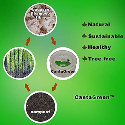 500 Count 6 Inch Small Heavy Duty Compostable Dessert Plates, Biodegradable Bagasse and Bamboo Fiber Paper Plates