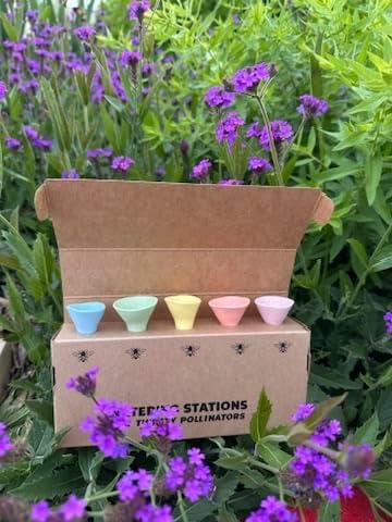 5 Pack, Bee Watering Station, 100% Handmade from Porcelain, Bee and Butterfly - Image 8