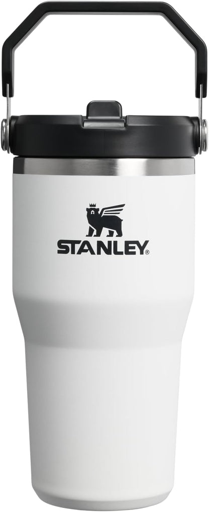 STANLEY IceFlow 2.0 Flip Straw Tumbler, 20 oz, Chalk | Easy Carry Handle | by Unknown