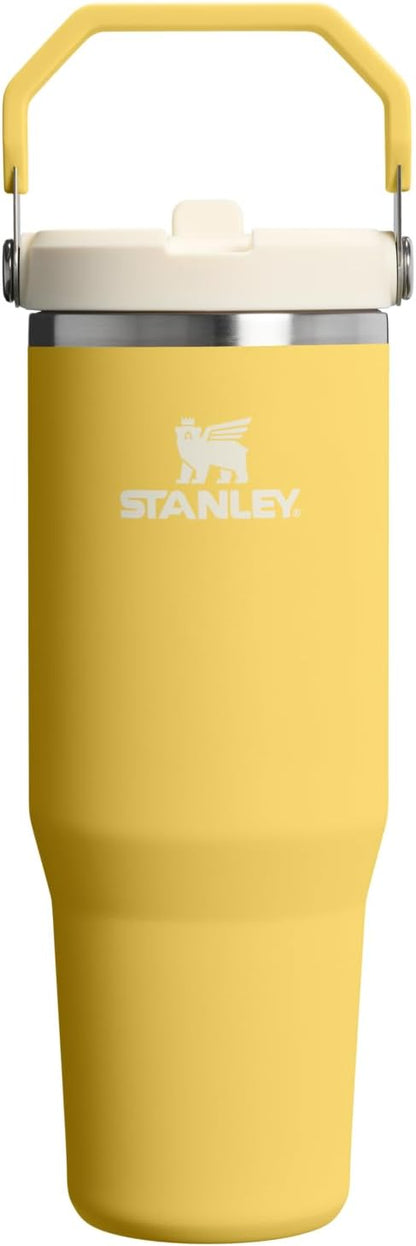 STANLEY IceFlow 2.0 Flip Straw Tumbler, 30 oz, Daffodil | Easy Carry Handle | by Unknown