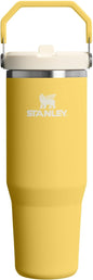 STANLEY IceFlow 2.0 Flip Straw Tumbler, 30 oz, Daffodil | Easy Carry Handle | by Unknown
