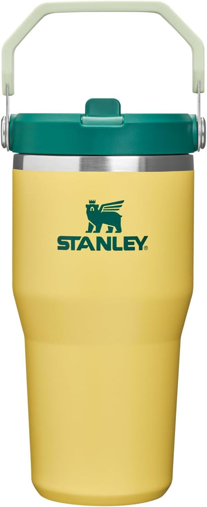 STANLEY IceFlow 2.0 Flip Straw Tumbler, 20 oz, Daffodil Emerald | Easy Carry by Unknown