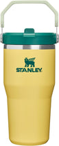 STANLEY IceFlow 2.0 Flip Straw Tumbler, 20 oz, Daffodil Emerald | Easy Carry by Unknown