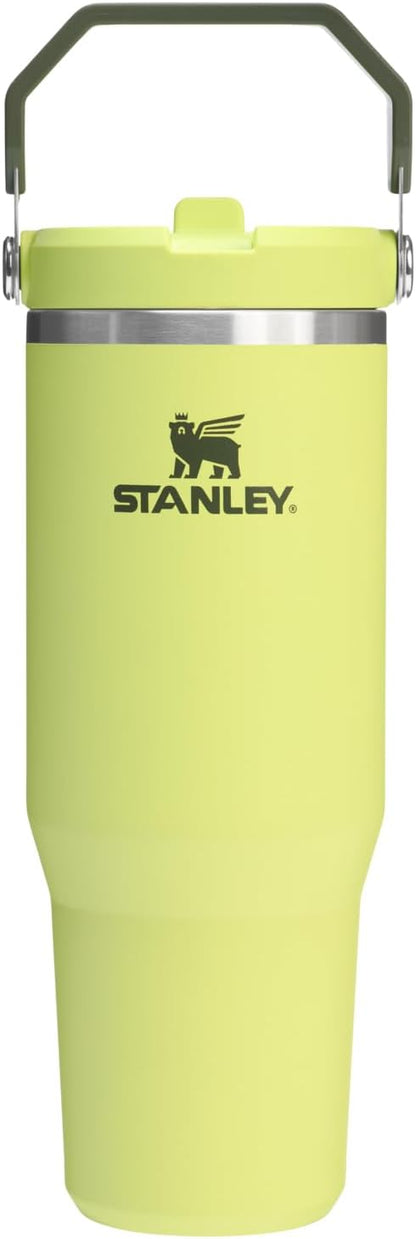 STANLEY IceFlow 2.0 Flip Straw Tumbler, 30 oz, Prickly Pear | Easy Carry Handle by Unknown