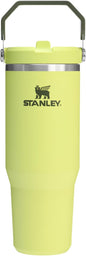 STANLEY IceFlow 2.0 Flip Straw Tumbler, 30 oz, Prickly Pear | Easy Carry Handle by Unknown