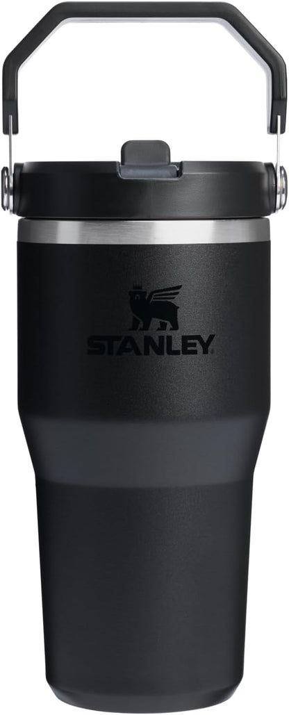 STANLEY IceFlow 2.0 Flip Straw Tumbler, 20 oz by Unknown