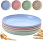 9 Inch Unbreakable Wheat Straw Plates by K+Y+KANGYUN